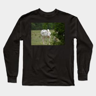 Wild Horse Long Sleeve T-Shirt